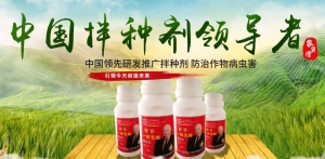 玉米拌种剂如何使用效果好?