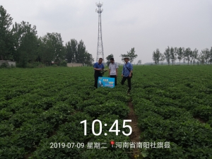 地鹰花生拌种剂社旗验收