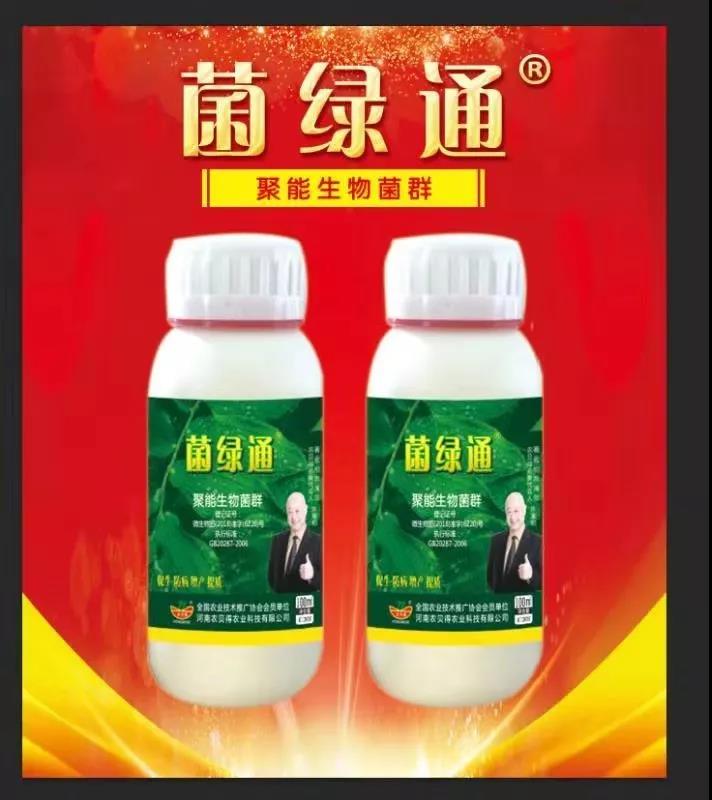 “菌绿通”表现好效果的三个原因