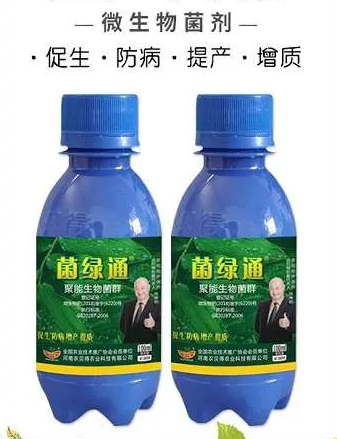 生物菌剂的种类有什么呢？