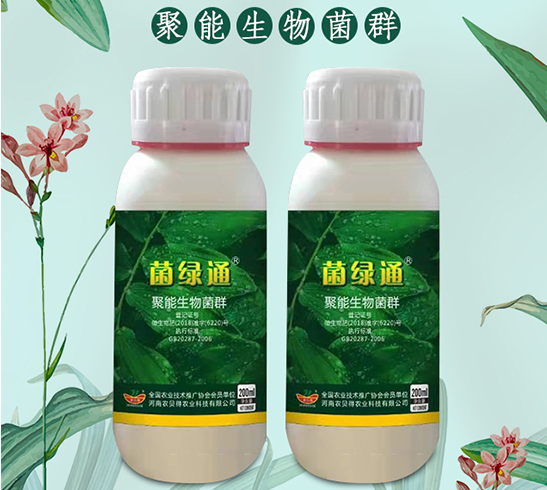 微生物菌“菌绿通”对哪些病害有用